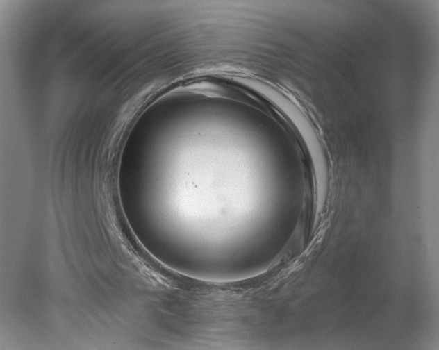 X0000078270193200611101116