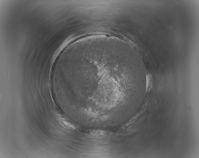 X0000078270195200611101116