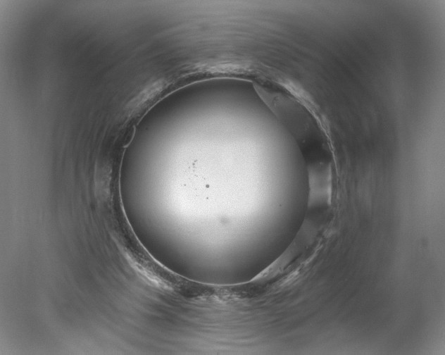 X0000078270201200611101116