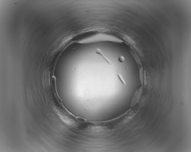 X0000078270205200611101116