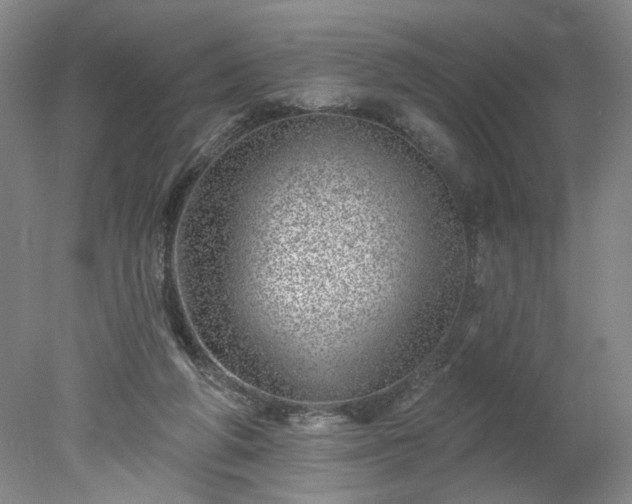 X0000078270210200611101116