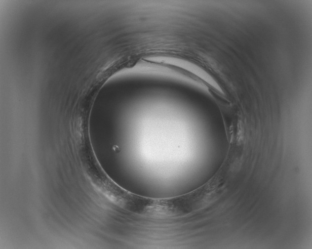X0000078270211200611101116