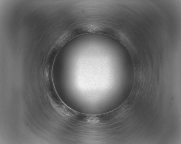 X0000078270214200611101116
