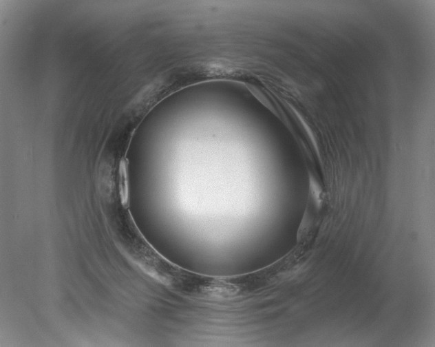 X0000078270215200611101116