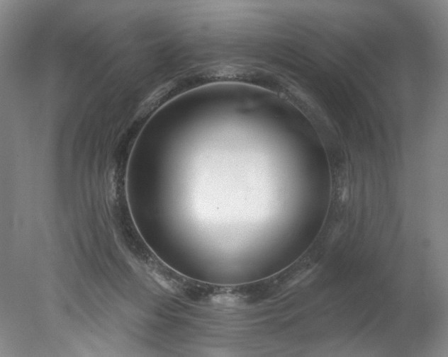 X0000078270216200611101116