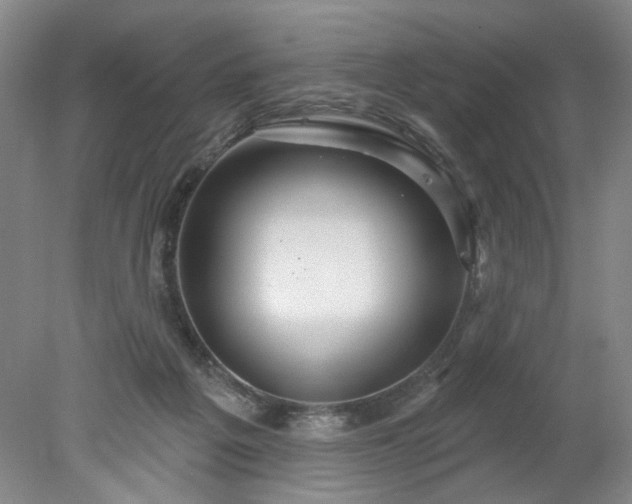 X0000078270217200611101116