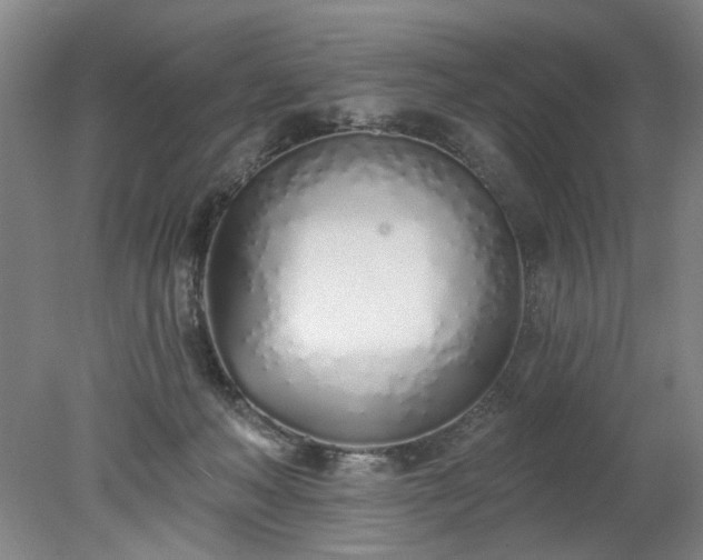 X0000078270222200611101116