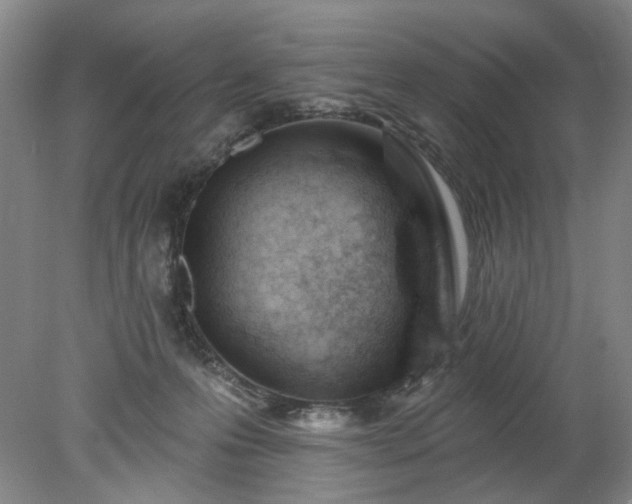 X0000078270223200611101116