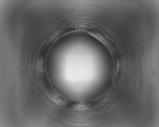 X0000078270224200611101116