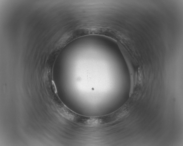 X0000078270225200611101116