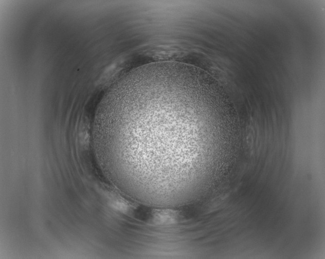 X0000078270226200611101116