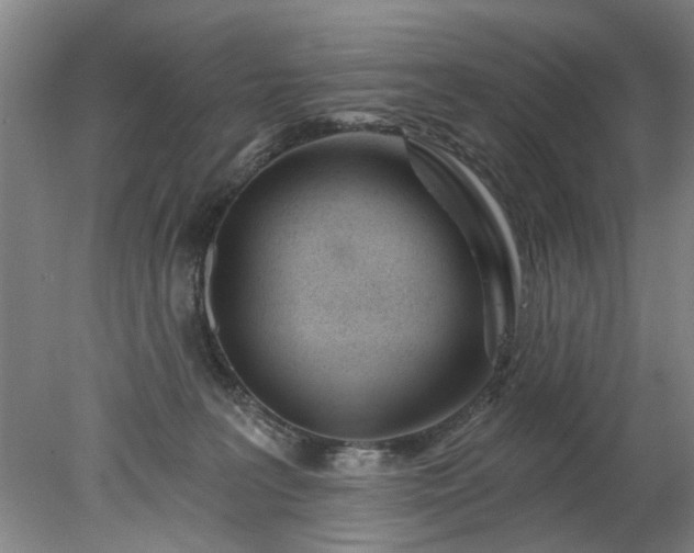 X0000078270227200611101116