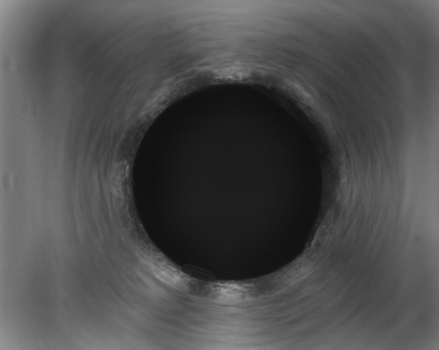 X0000078270229200611101116