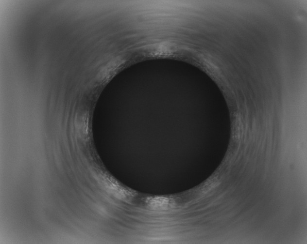 X0000078270230200611101116