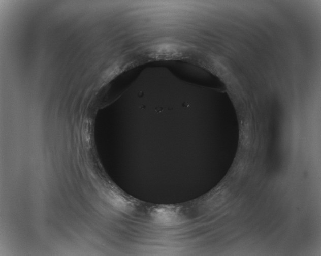 X0000078270232200611101116