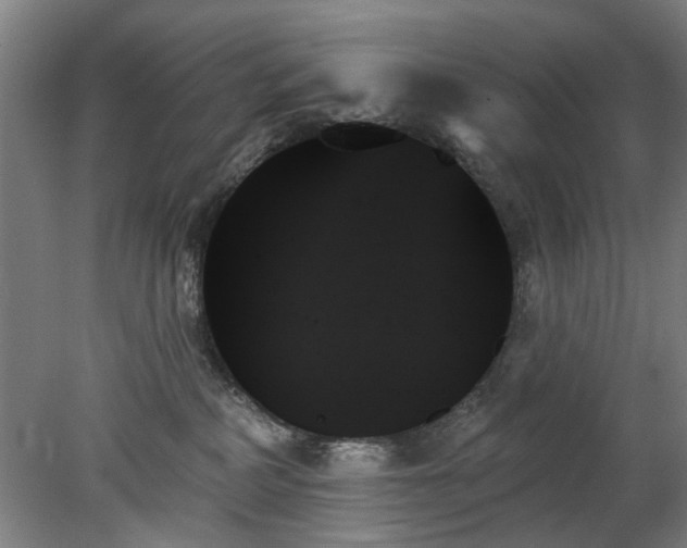 X0000078270234200611101116