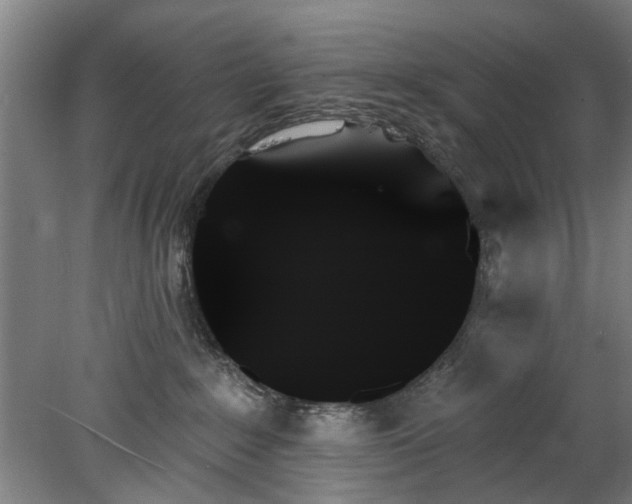 X0000078270235200611101116