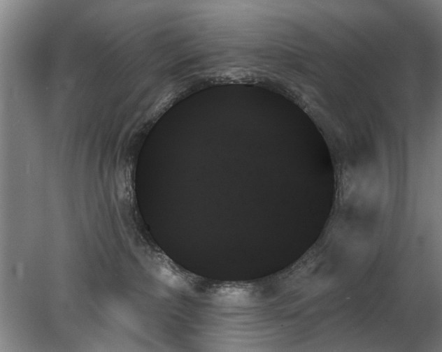 X0000078270236200611101116