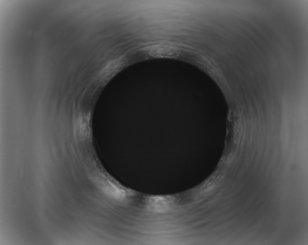 X0000078270239200611101115