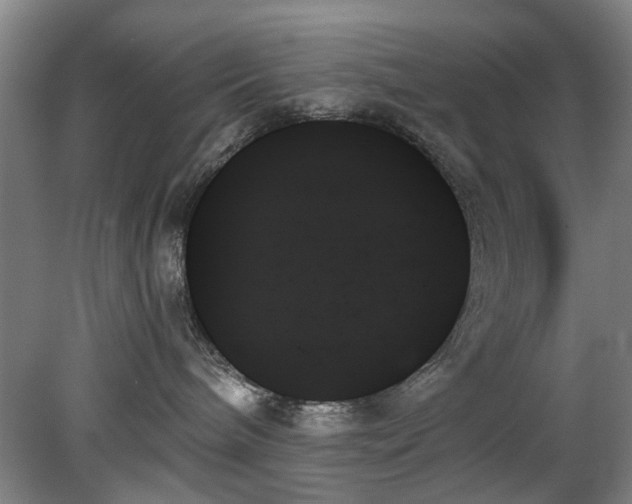 X0000078270240200611101115