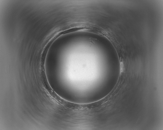 X0000078270243200611101115