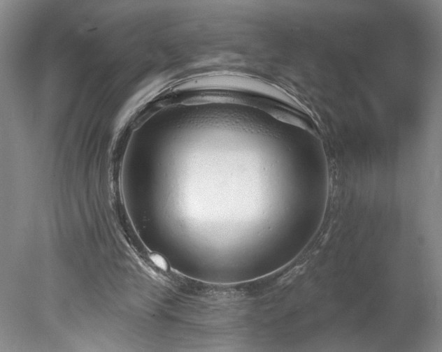 X0000078270245200611101115