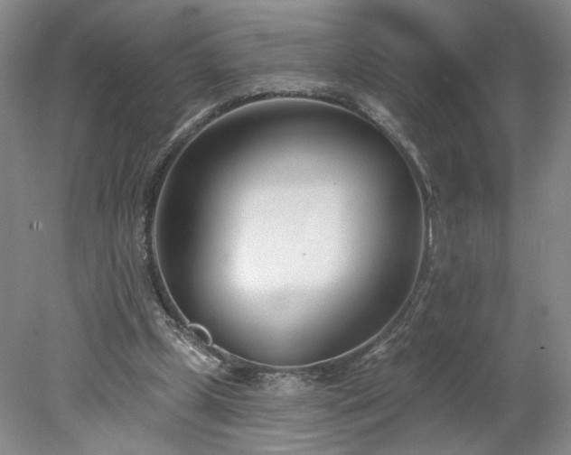 X0000078270249200611101115
