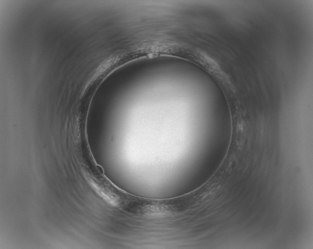 X0000078270250200611101115