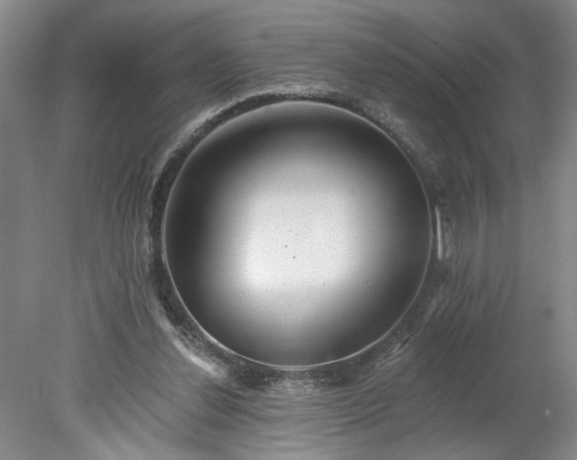 X0000078270252200611101115