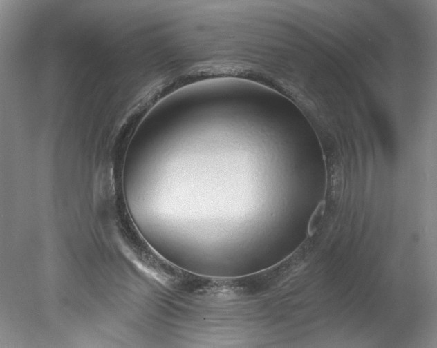 X0000078270254200611101115