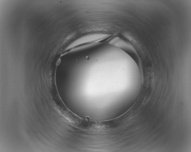 X0000078270260200611101115