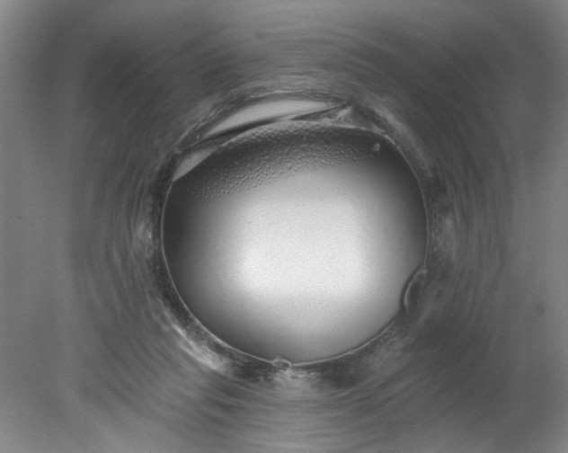 X0000078270261200611101115