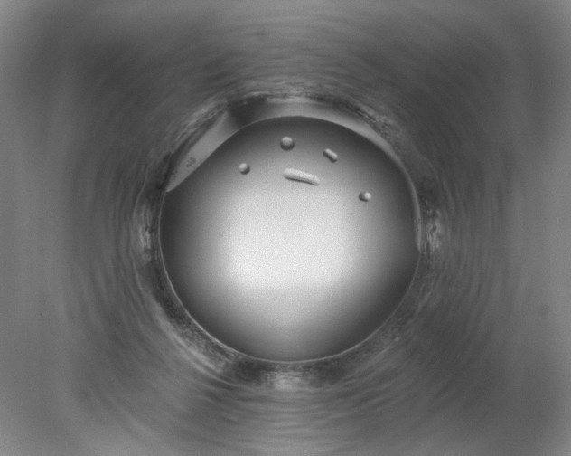 X0000078270264200611101115