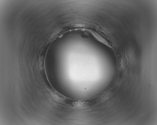 X0000078270273200611101115