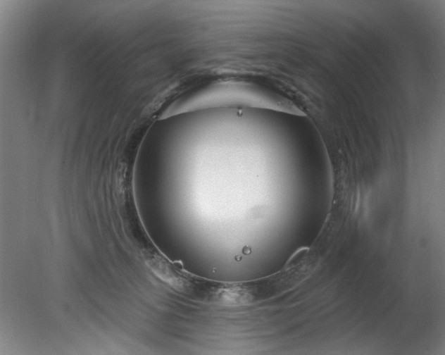 X0000078270275200611101115