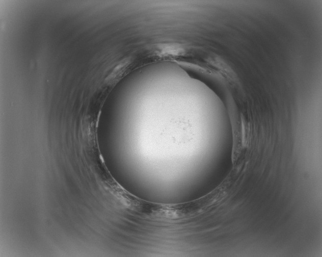 X0000078270276200611101115