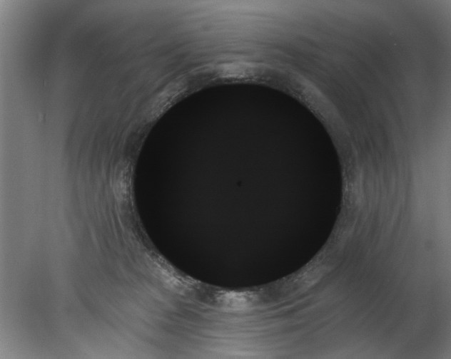 X0000078270277200611101115