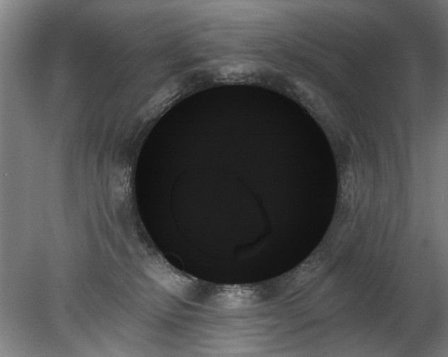 X0000078270278200611101115