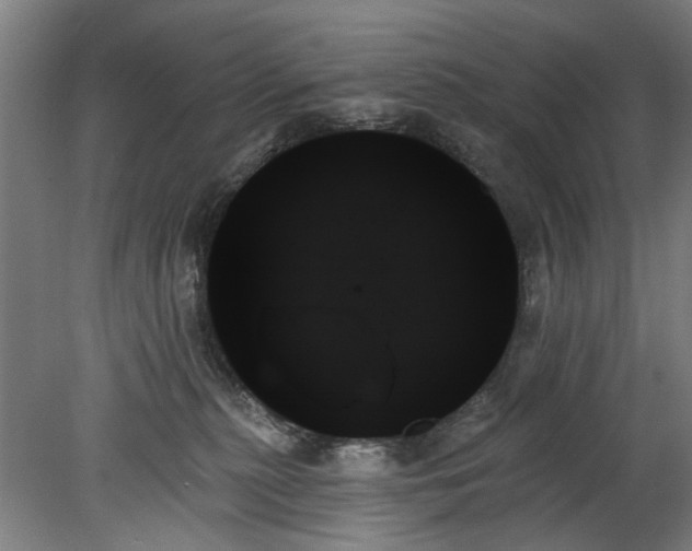 X0000078270279200611101115