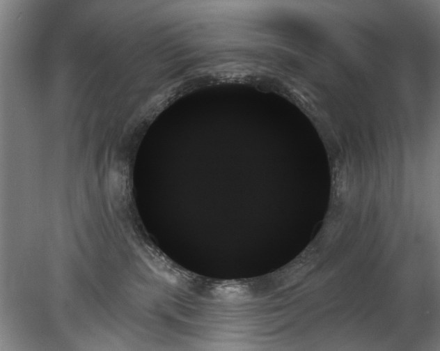 X0000078270283200611101115