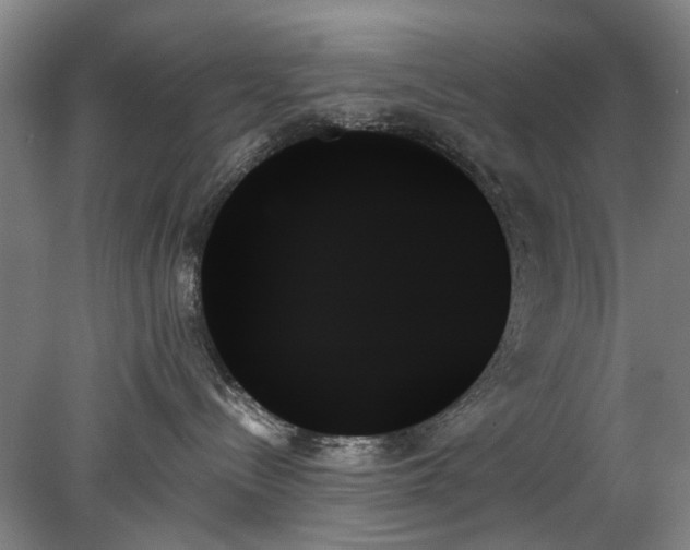 X0000078270288200611101115