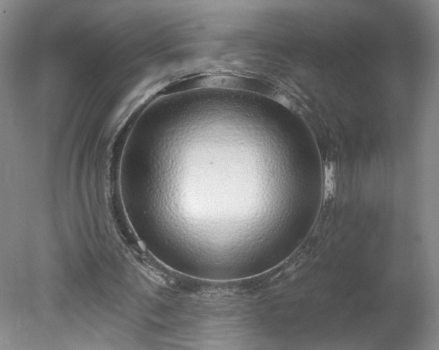 X0000078270291200611101115