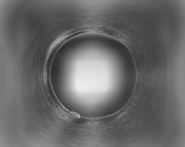 X0000078270294200611101115