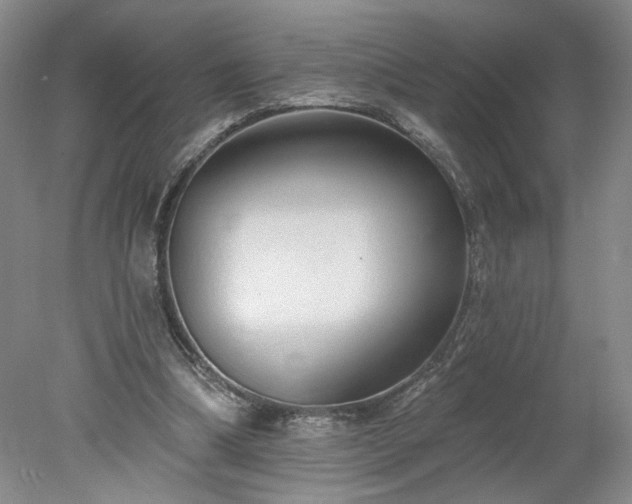 X0000078270298200611101115