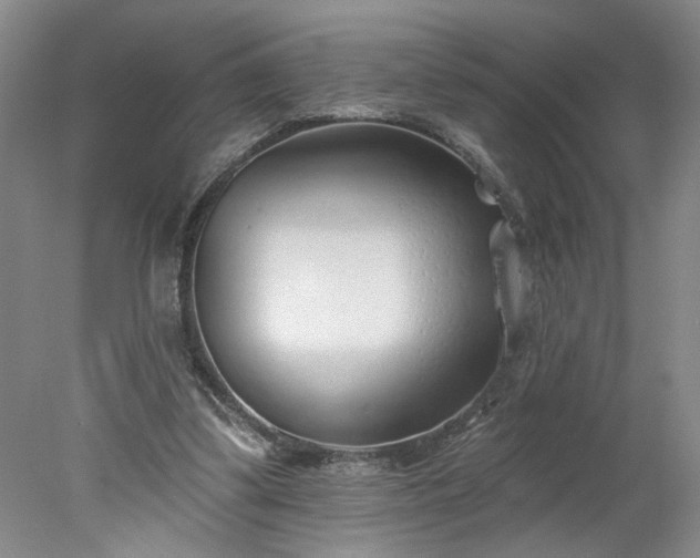X0000078270299200611101114