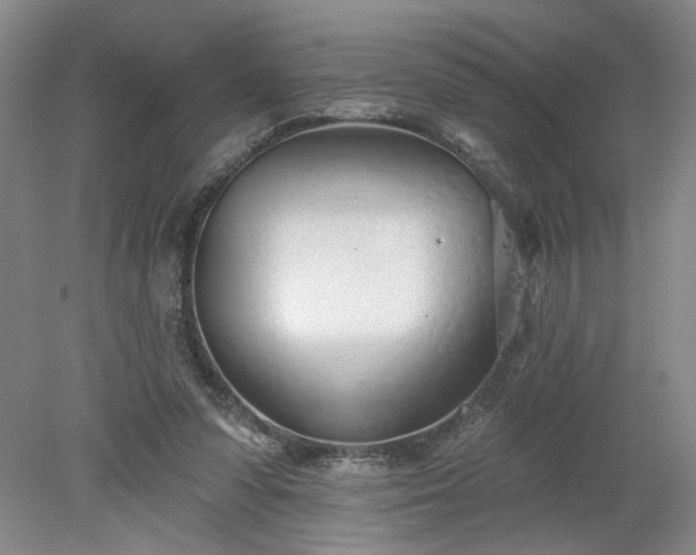 X0000078270303200611101114