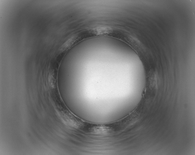 X0000078270316200611101114