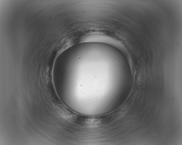 X0000078270319200611101114