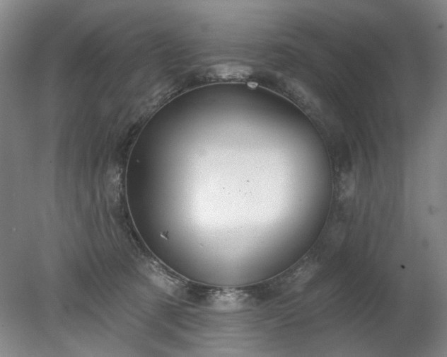 X0000078270321200611101114