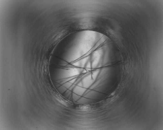 X0000078270325200611101114